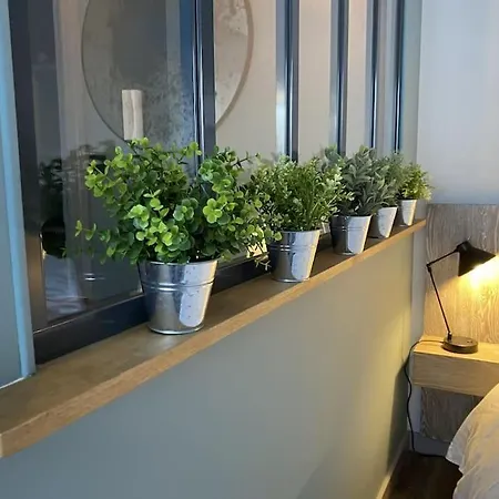 Lumineux Avec Balcon Proche Tete D'or * Lyon