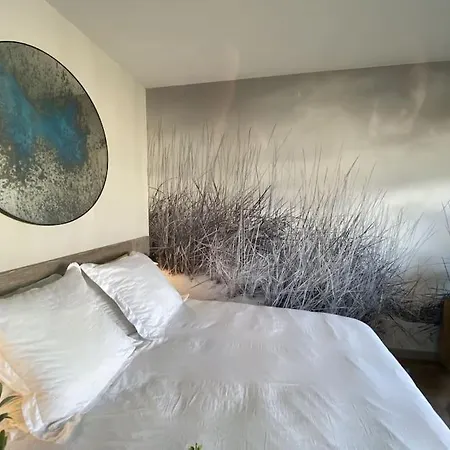 Apartament Lumineux Avec Balcon Proche Tete D'or